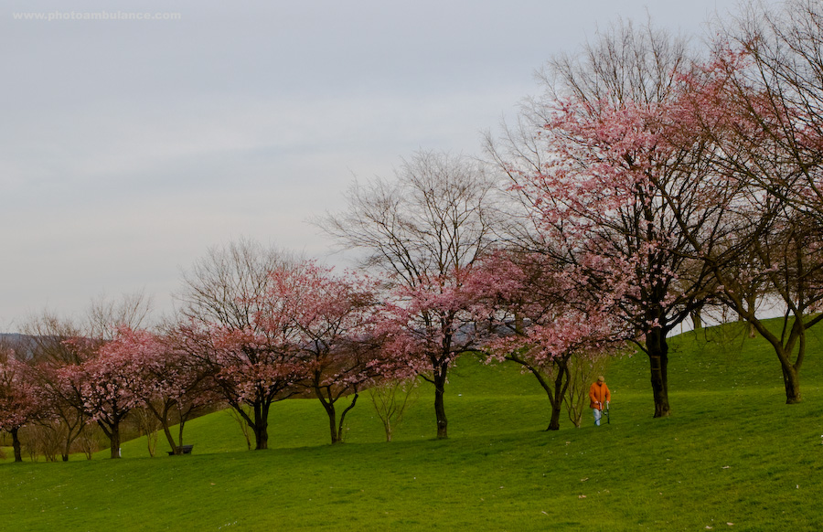 Frühling und Herbst