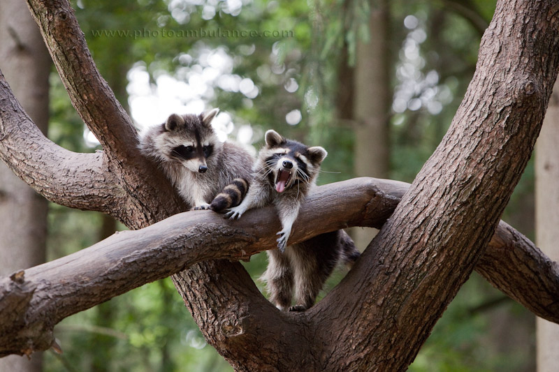 More Expression Please!