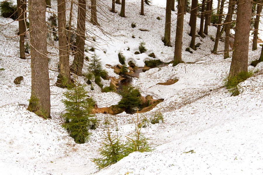 Harz IV - Be cautious, it is addictive.