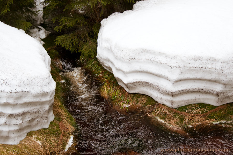Welcome to the Spring's Pastry Shop!