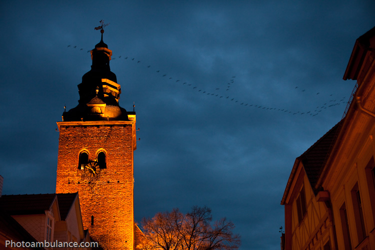 Kraniche über St. Laurentius