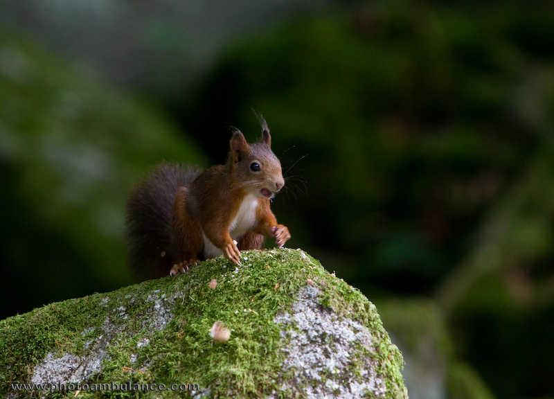 Dear Shareholders, Our World Is Going Nuts...