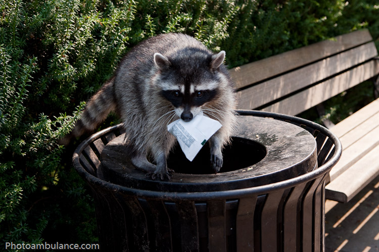 ... and You Get Lucky!