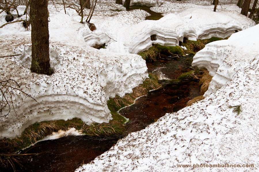 Harz VI - It's all about meringue...