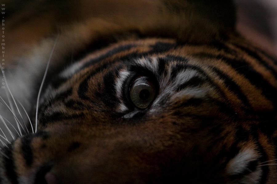 Abstraktes? Konkretes!