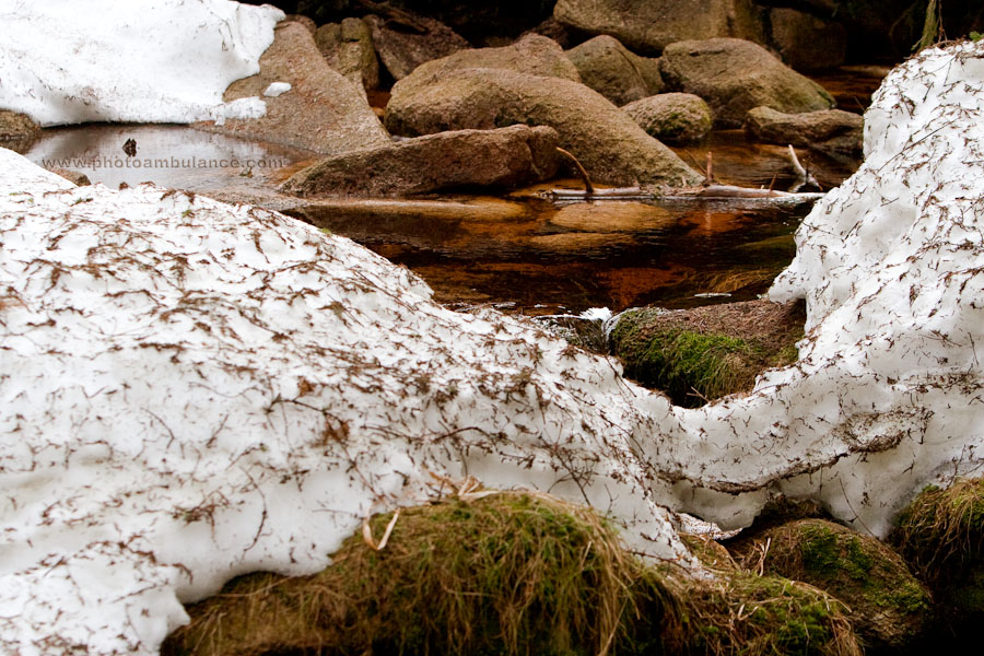 Harz V - Spring is the chef and a true artist.