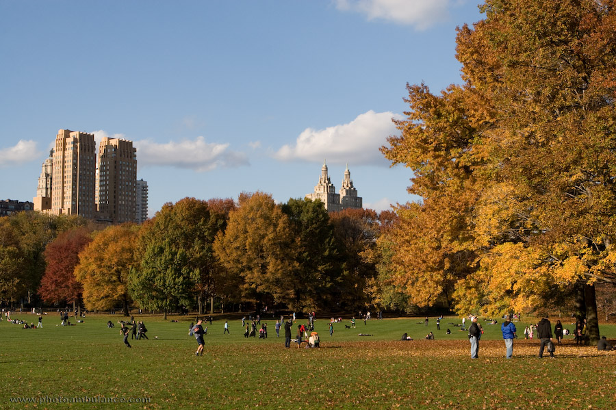 Golden City under Blue Sky