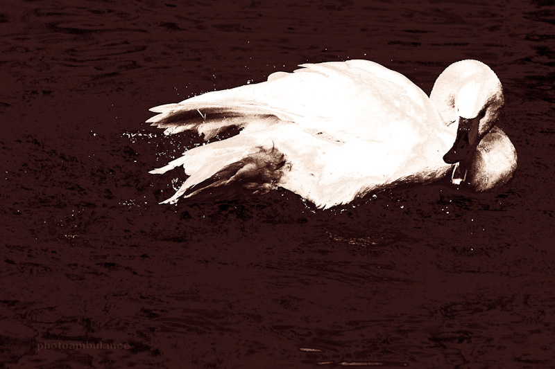 Hot Chocolate with Cream