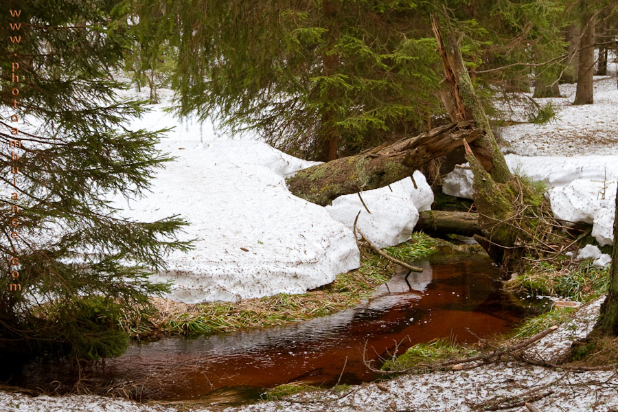 Harz VIII - ... and orange liqueur.